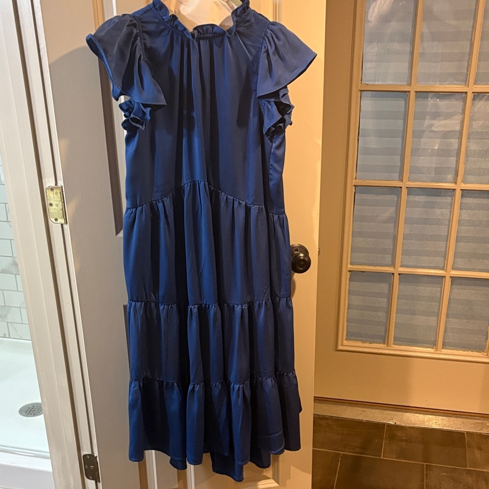 Pinch Blue Ruffled Dress